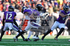 Ravens Bengals Football