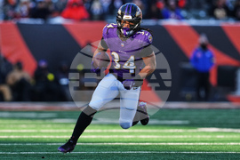 Ravens Bengals Football