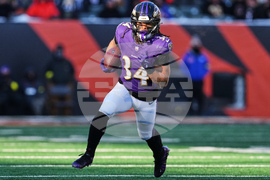 Ravens Bengals Football