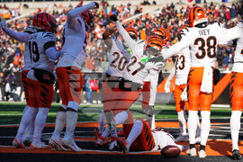 Ravens Bengals Football