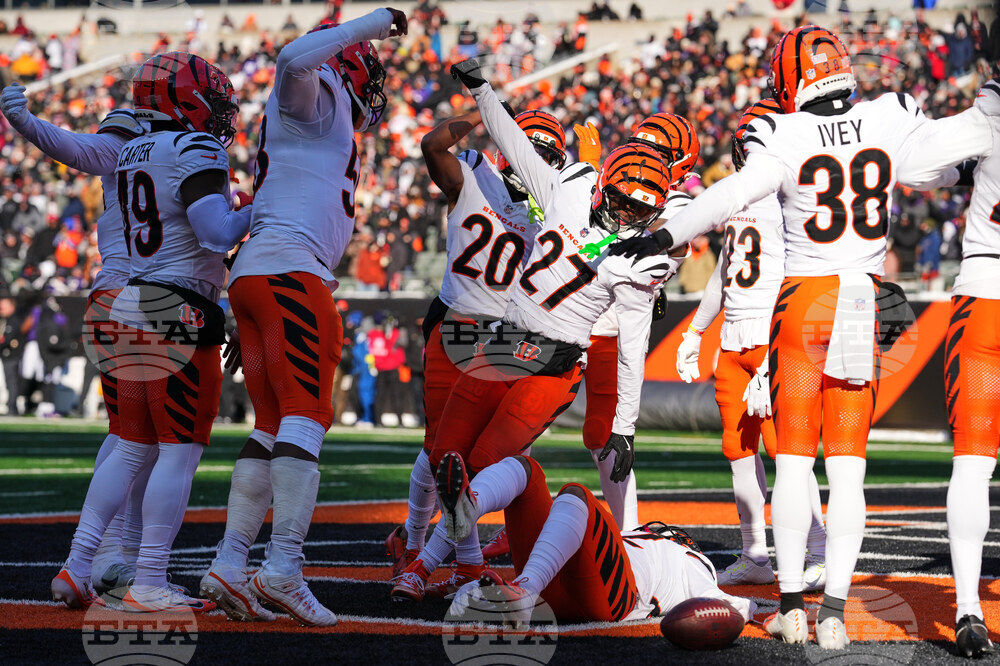 Ravens Bengals Football