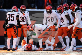 Ravens Bengals Football