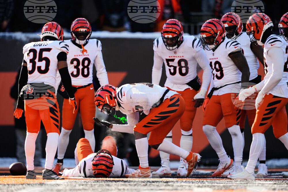 Ravens Bengals Football