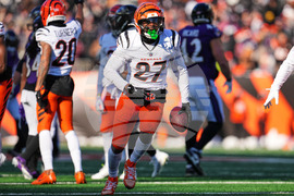 Ravens Bengals Football