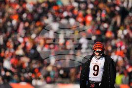 Ravens Bengals Football