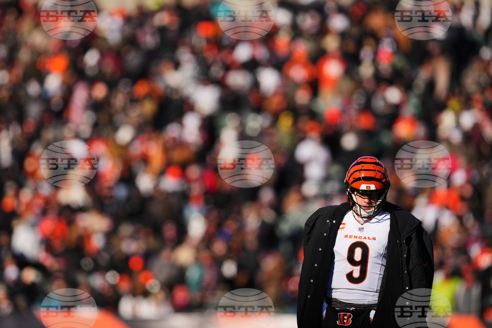 Ravens Bengals Football