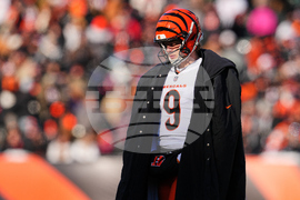 Ravens Bengals Football