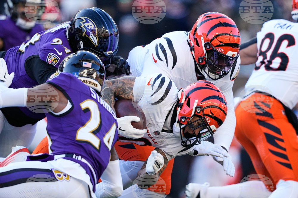 Ravens Bengals Football