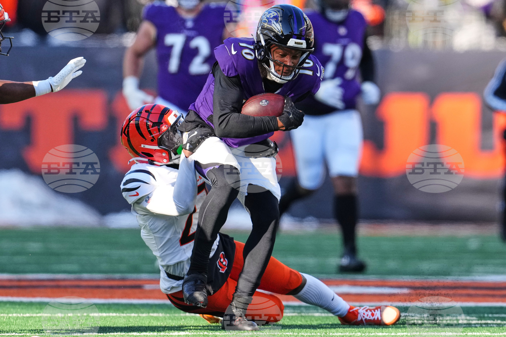 Ravens Bengals Football
