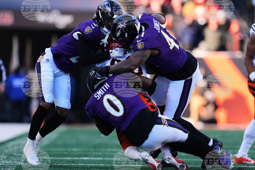 Ravens Bengals Football