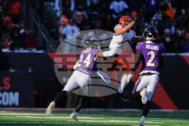 Ravens Bengals Football