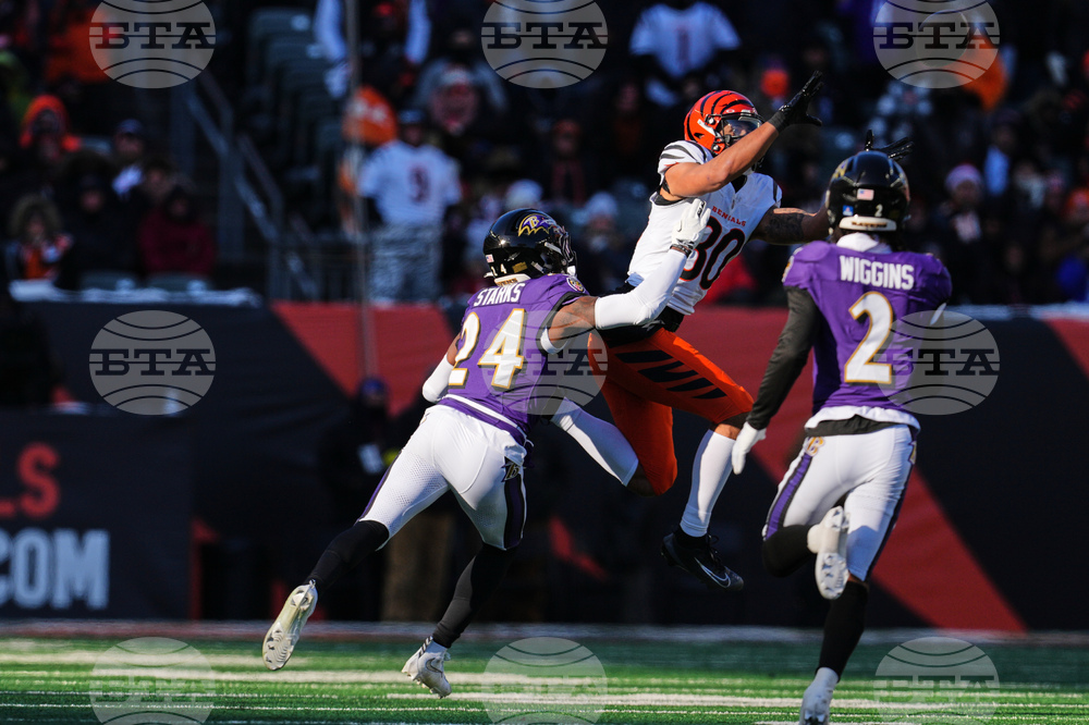 Ravens Bengals Football