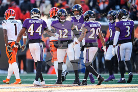 Ravens Bengals Football