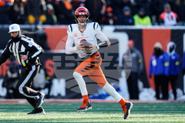 Ravens Bengals Football