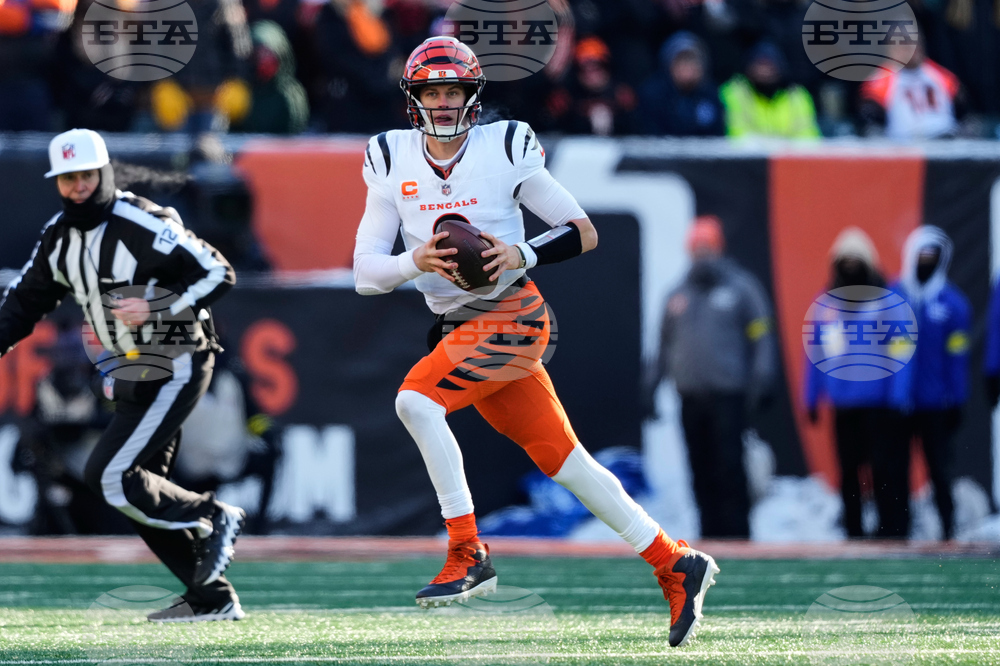 Ravens Bengals Football