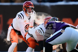 Ravens Bengals Football