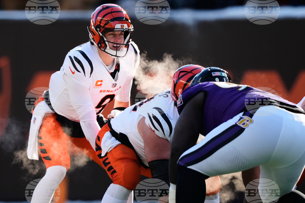 Ravens Bengals Football