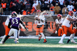 Ravens Bengals Football