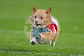 Raiders Eagles Football