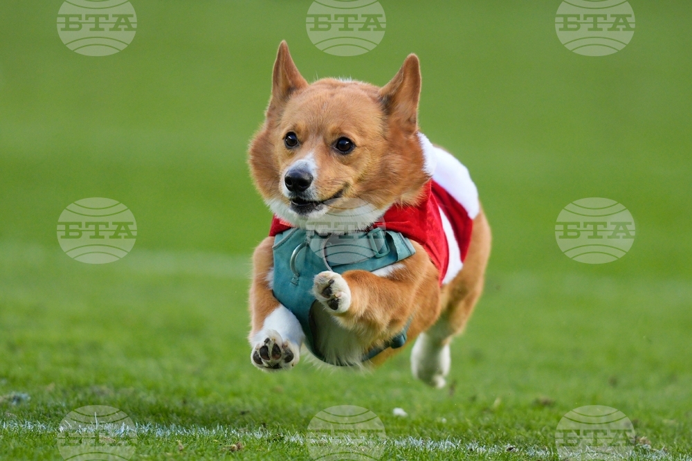 Raiders Eagles Football