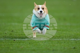 Raiders Eagles Football