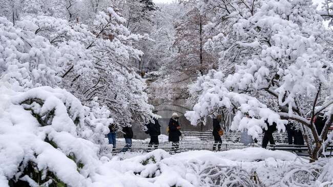 Нова зимна буря връхлетя САЩ