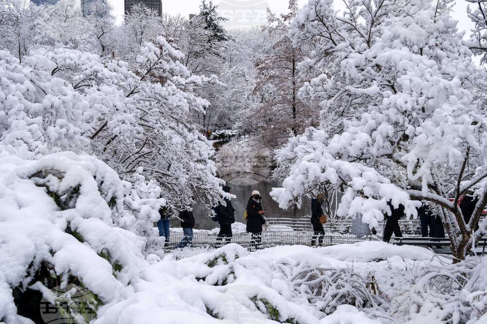 Нова зимна буря връхлетя САЩ