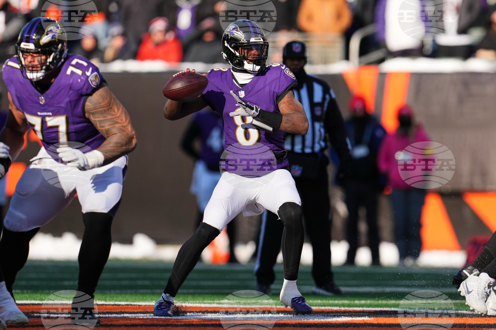 Ravens Bengals Football