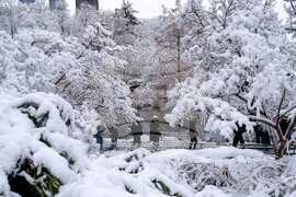 US Extreme Weather New York