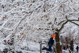 US Extreme Weather New York