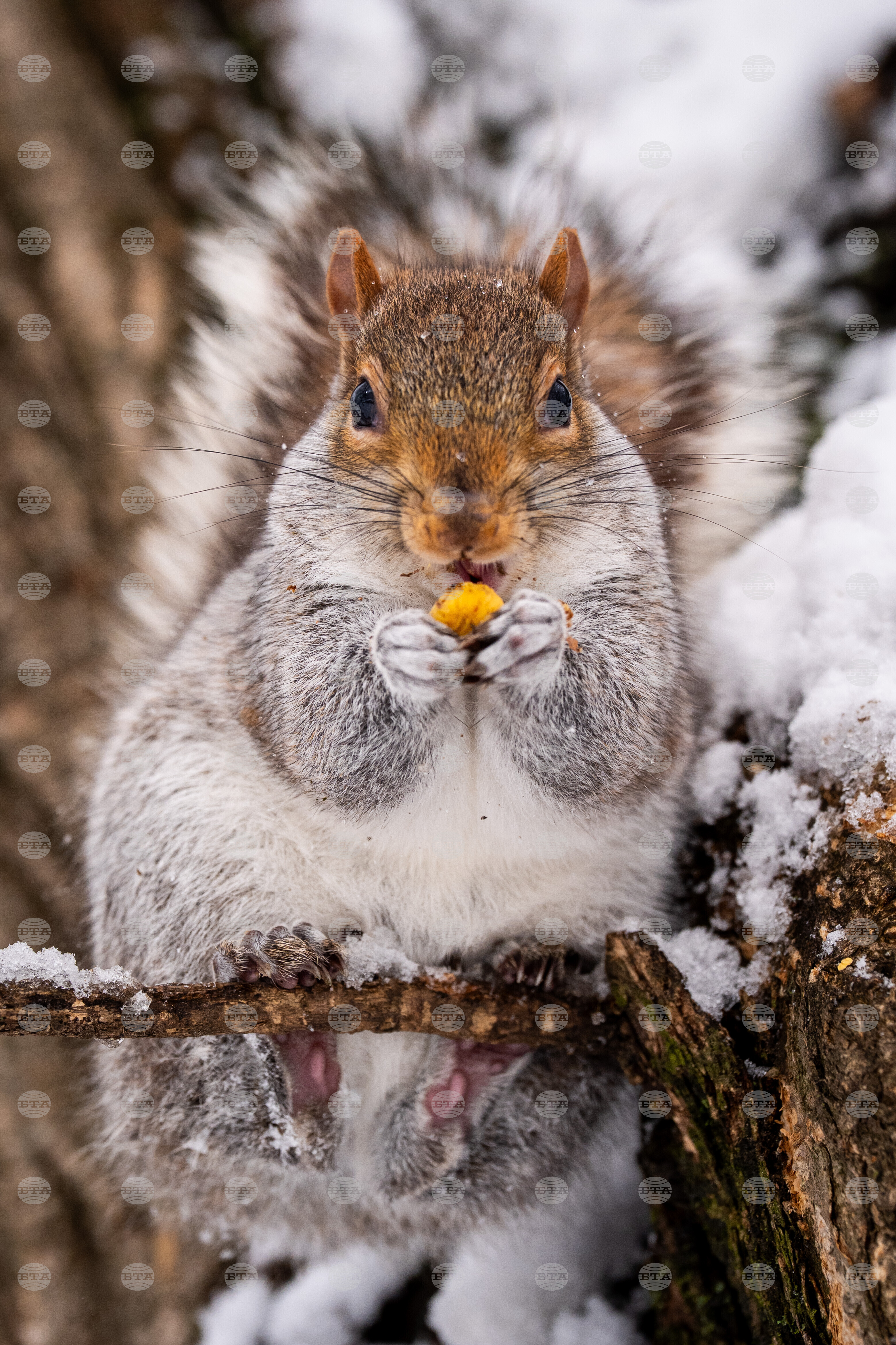 US Extreme Weather New York