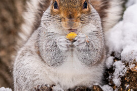 US Extreme Weather New York