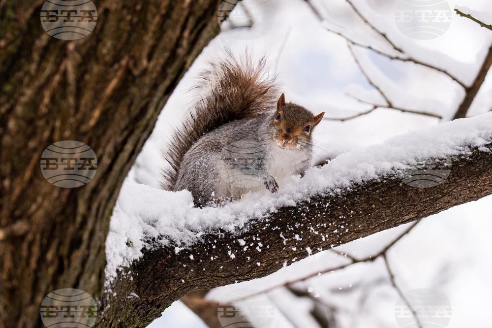 US Extreme Weather New York