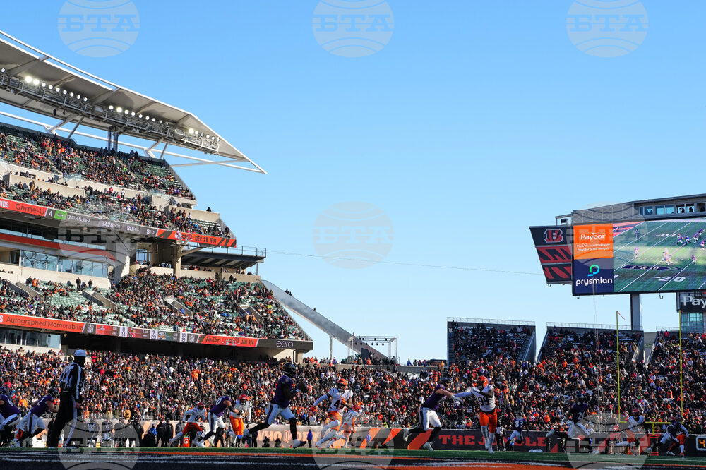 Ravens Bengals Football