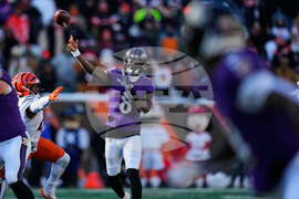 Ravens Bengals Football