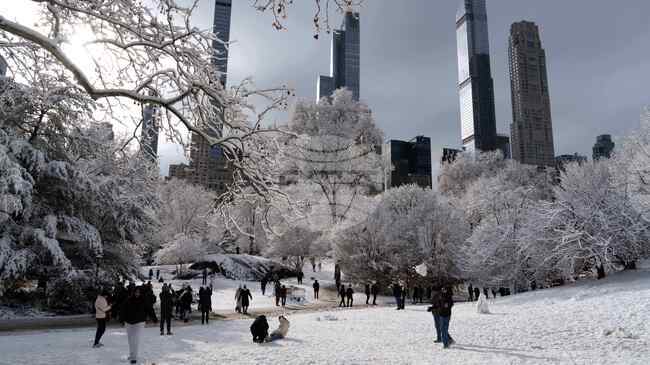 Източното крайбрежие на САЩ се готви за нова силна снежна буря