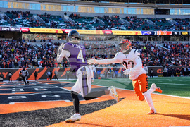 Ravens Bengals Football