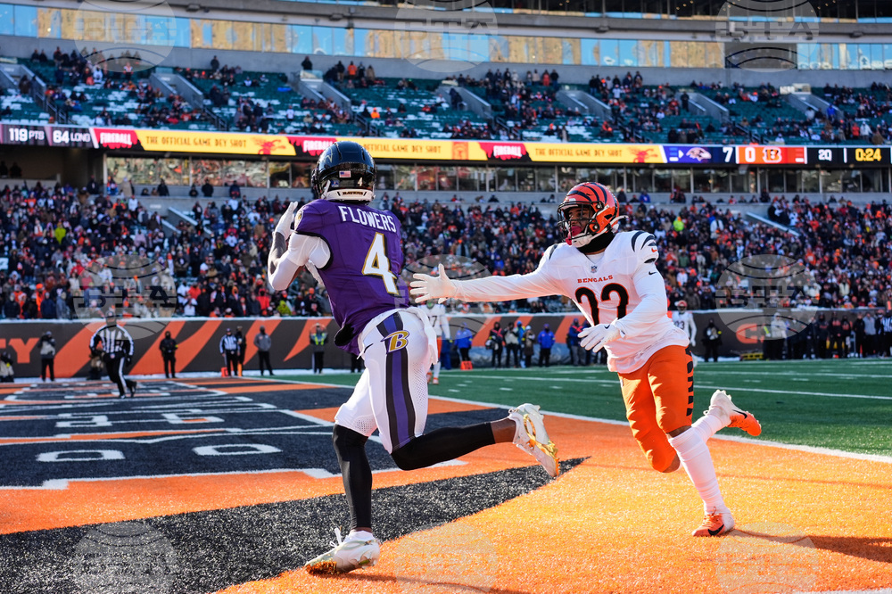 Ravens Bengals Football