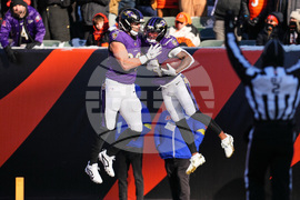 Ravens Bengals Football