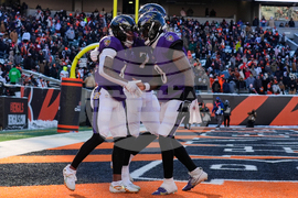 Ravens Bengals Football