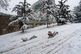 Extreme Weather New York