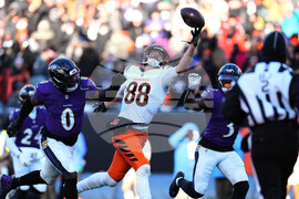 Ravens Bengals Football