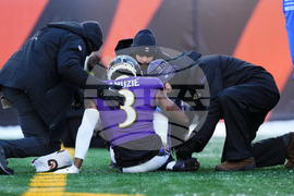 Ravens Bengals Football