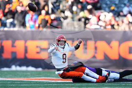 Ravens Bengals Football