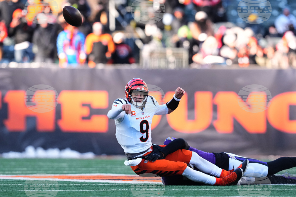 Ravens Bengals Football