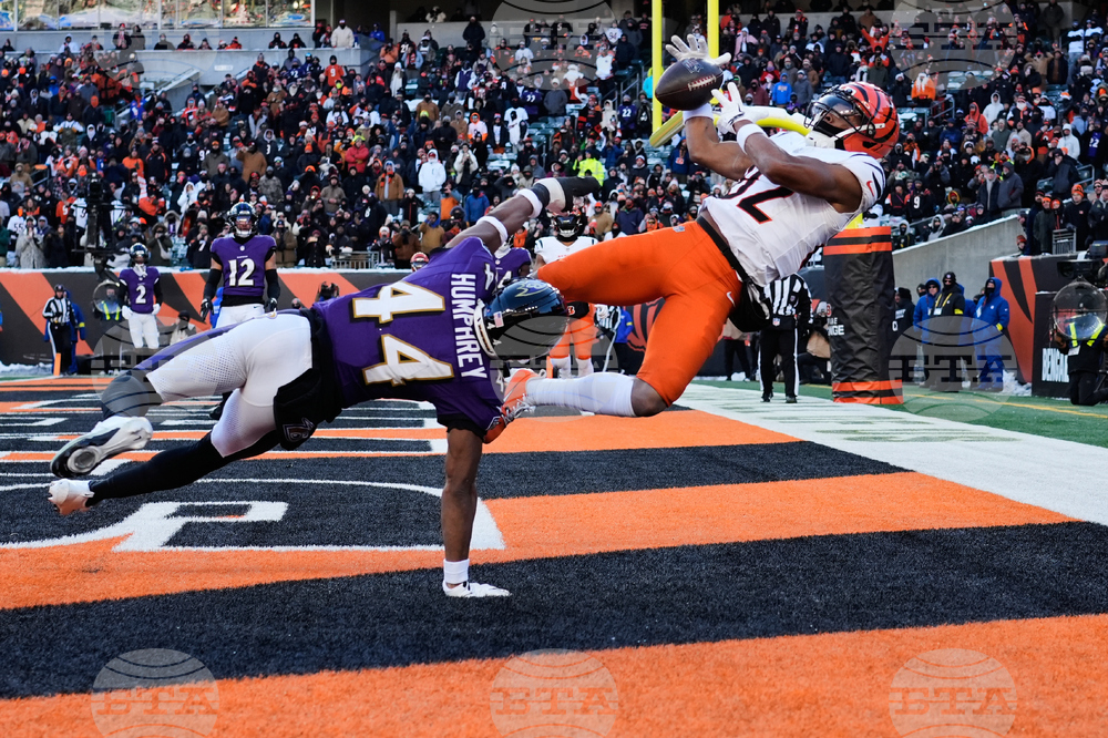 Ravens Bengals Football