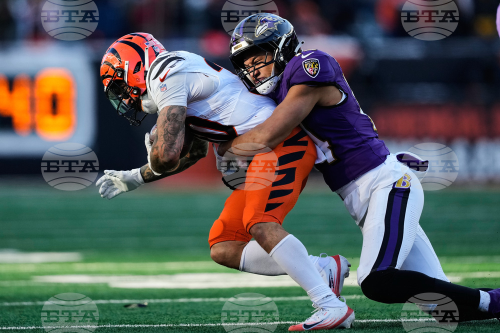 Ravens Bengals Football