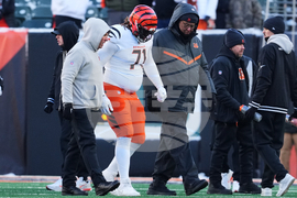 Ravens Bengals Football