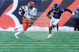 Ravens Bengals Football