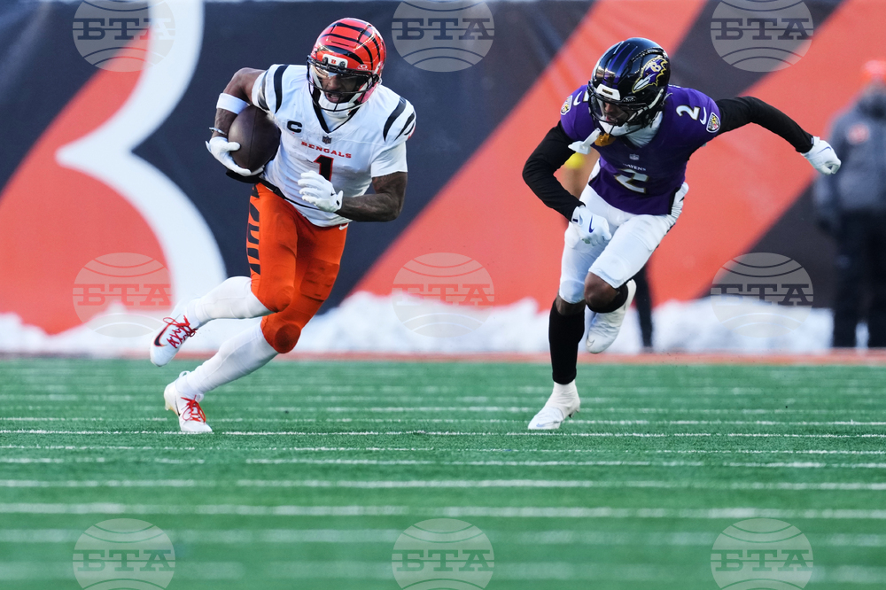 Ravens Bengals Football